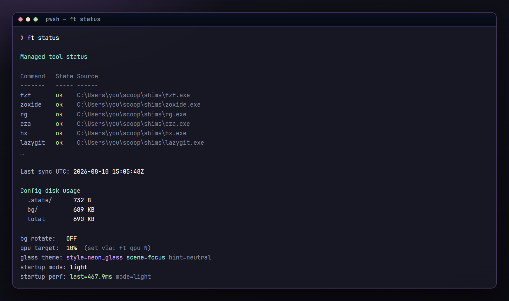 ft status showing managed tools, disk usage and startup timing